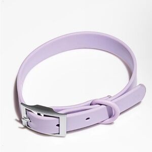 NWT - Wild One Dog Collar (Size Small)